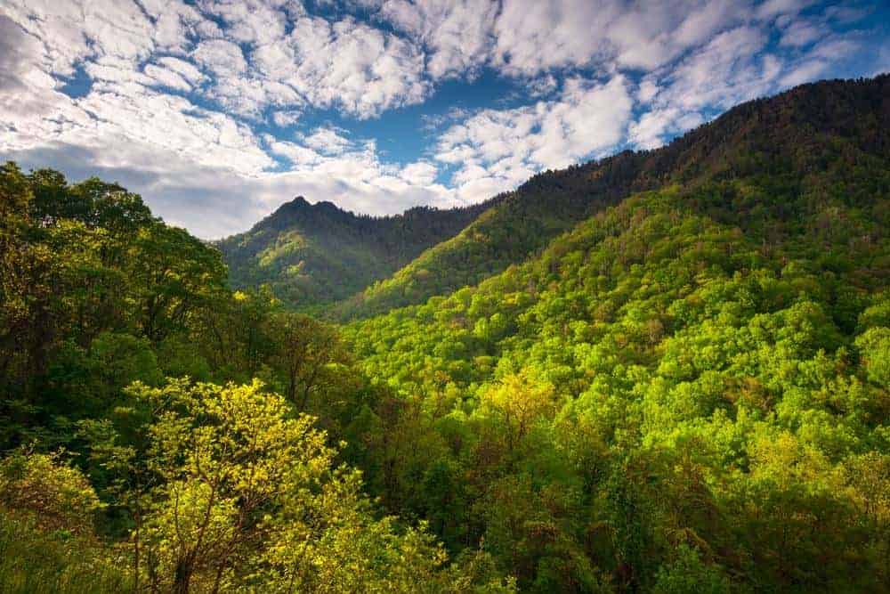 scenery in the great smoky mountains national park