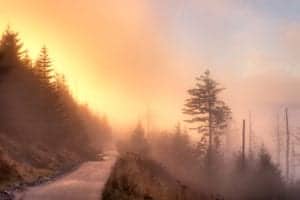 foggy sunrise in the smoky mountains