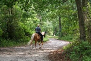 man horseback riding in the mountains