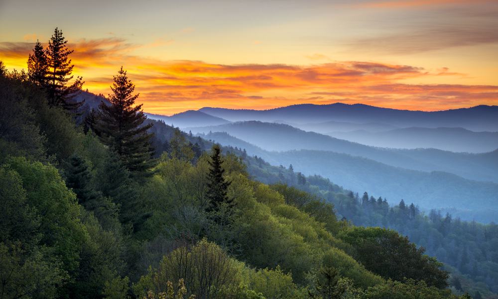 beautiful sunrise in the smoky mountains