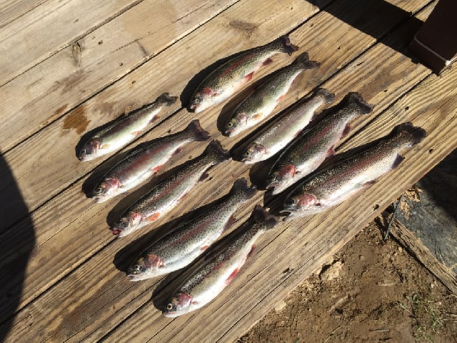 Area Fishing