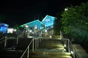 Ripley's aquarium of the smokies at night