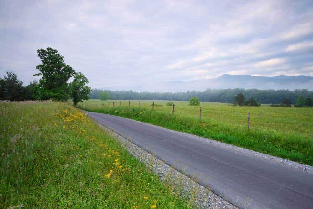 Cades Cove Loop Road