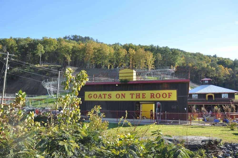 Goats on the Roof in Pigeon Forge