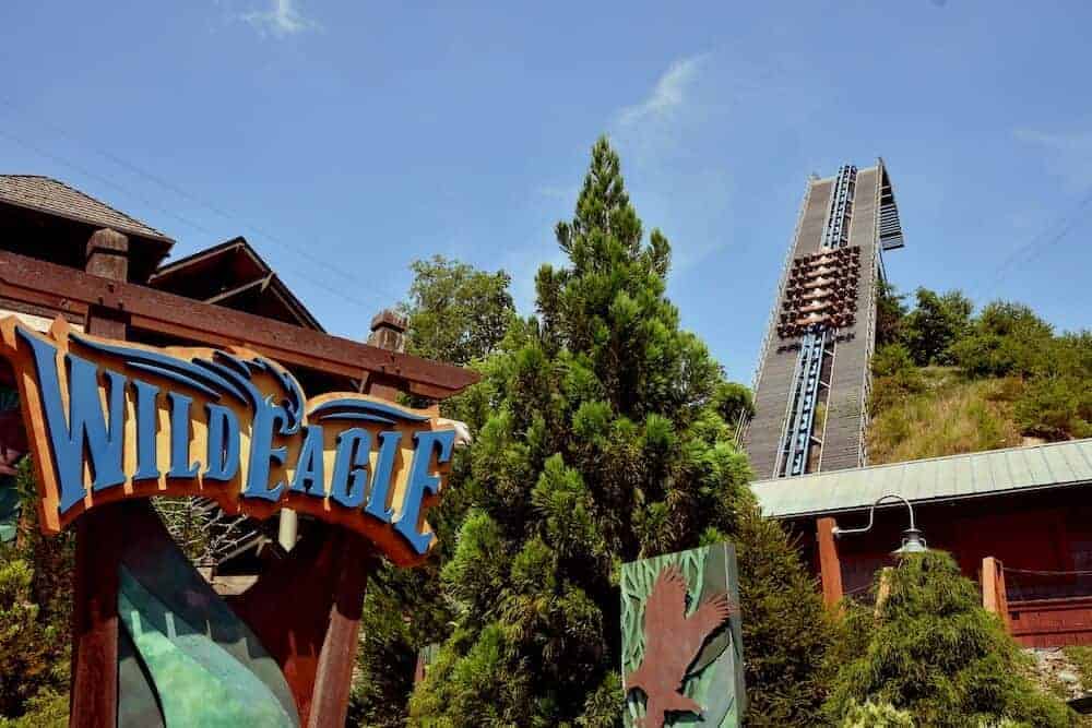 Wild Eagle at Dollywood