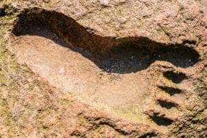 big footprint in the dirt