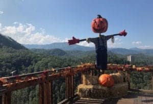 Pumpkin scarecrow at Anakeesta