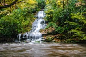 Tom Branch Falls in den Smoky Mountains