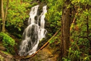 cataract falls in the smoky mountain national park