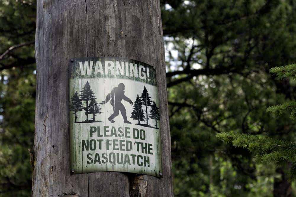 Do not feed sasquatch sign