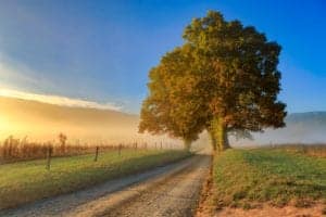 Cades Cove road in the Smoky Mountains