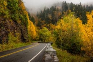 newfound gap in the fall