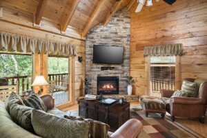 Bearly Behavin Cabin Rental