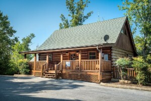 Bearly Behavin Cabin Rental