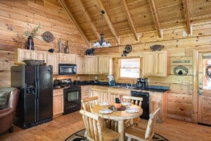 Bearly Behavin Cabin Rental