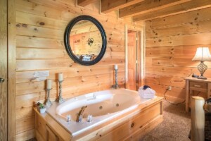 Bearly Behavin Cabin Rental