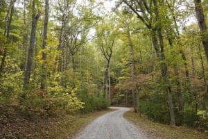 Rich Mountain Road in the Smoky Mountains