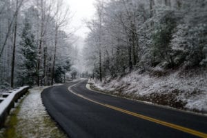 road surrounded by snow covered trees