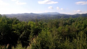 Gods Grace: Luxury Cabin On 1 Acre With Great Views In Gated Subdivision
