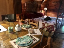 Gatlinburg Adventure Cabins - Teaberry 
