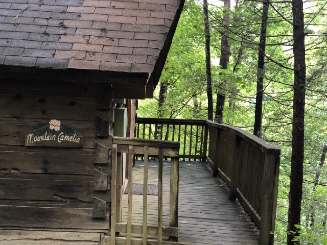 Gatlinburg Adventure Cabin - Mountain Camelia