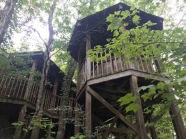 Gatlinburg Family Adventure Cabin - Mountain Laurel
