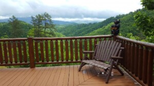 Cant Bear to Leave