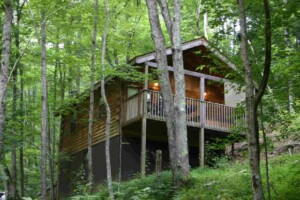 Misty Falls cabin