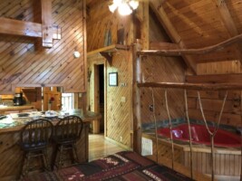 Gatlinburg Adventure Cabins - Forget Me Not