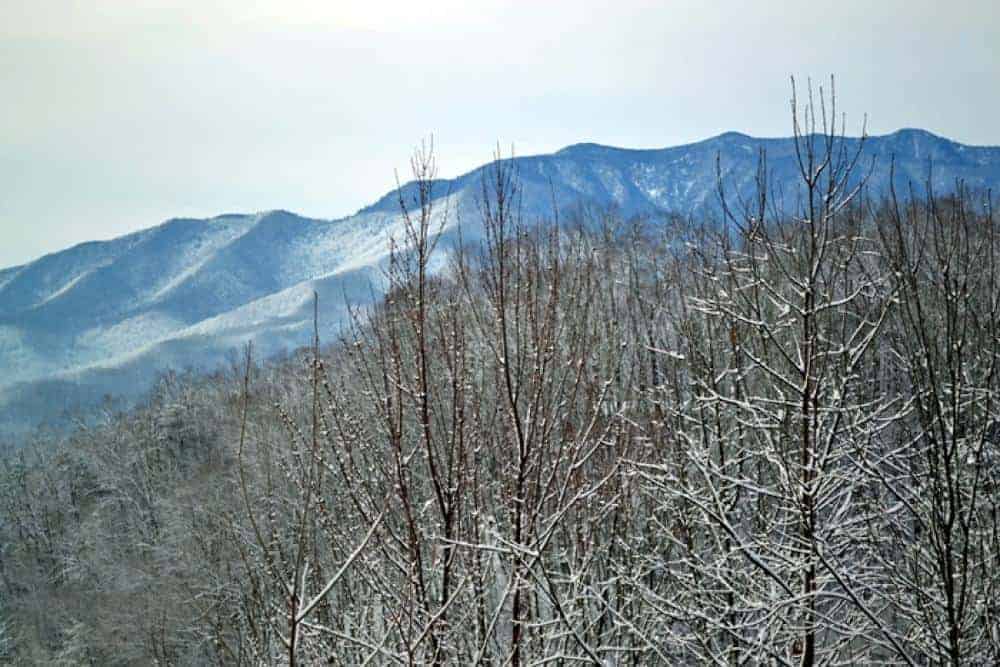 Winter view from a Gatlinburg cabin