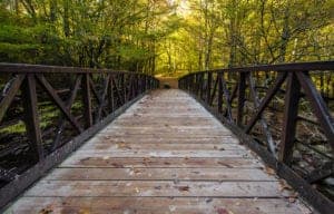 bridge along the gatlinburg trail