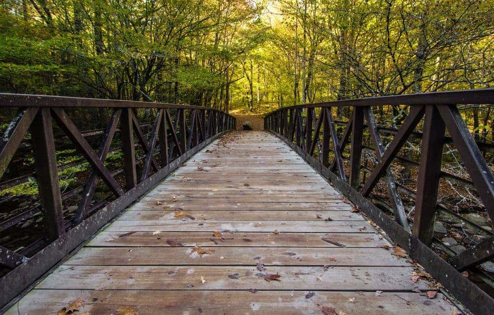 bridge along the gatlinburg trail