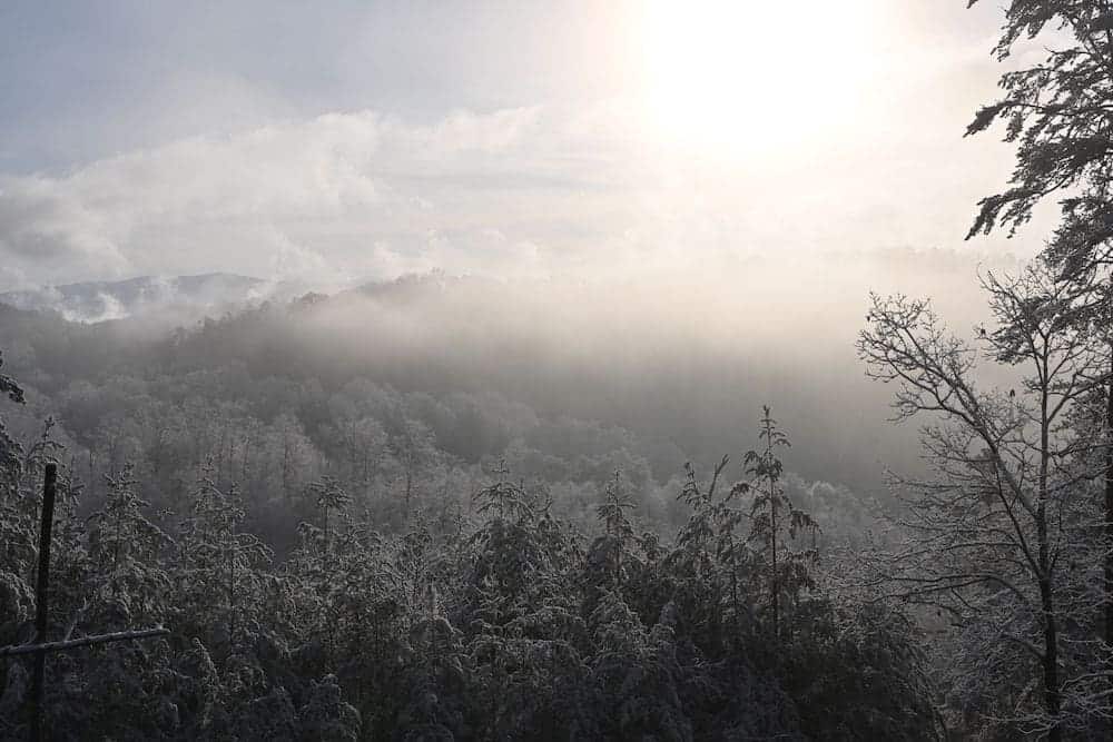 winter in the great smoky mountains national park