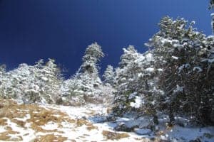 snow along the alum cave trail