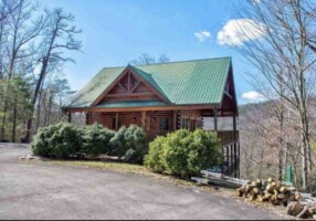 Gogi Bears Hideaway