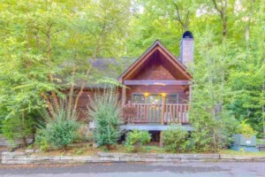 Lazy Bear Lodge — Cute+Cozy+Nestled in the Hills with Hot Tub and WiFi