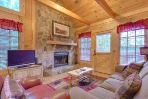 Lazy Bear Lodge — Cute+Cozy+Nestled in the Hills with Hot Tub and WiFi
