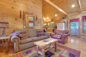 Lazy Bear Lodge — Cute+Cozy+Nestled in the Hills with Hot Tub and WiFi