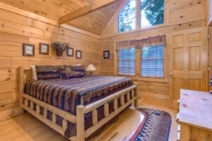 Lazy Bear Lodge — Cute+Cozy+Nestled in the Hills with Hot Tub and WiFi