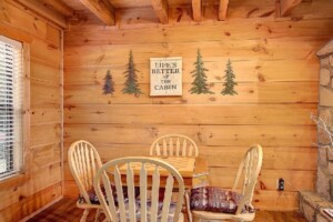 Mountaintop Mill  Private Log Cabin, Great View, Centrally Located