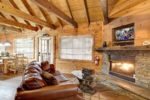 Beary Bungalow — Secluded Cozy Log Cabin with Views of Mountains