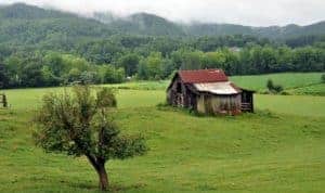 Barn on Wears Valley Road