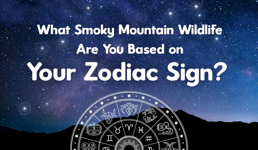 Smoky Mountain Wildlife based on zodiac sign