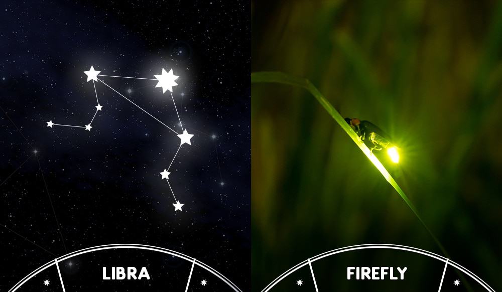 firefly and libra sign