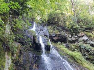 hen wallow falls smoky mountains