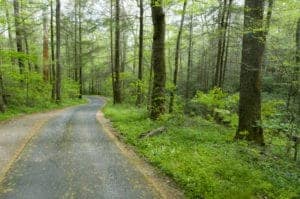 roaring fork motor nature trail