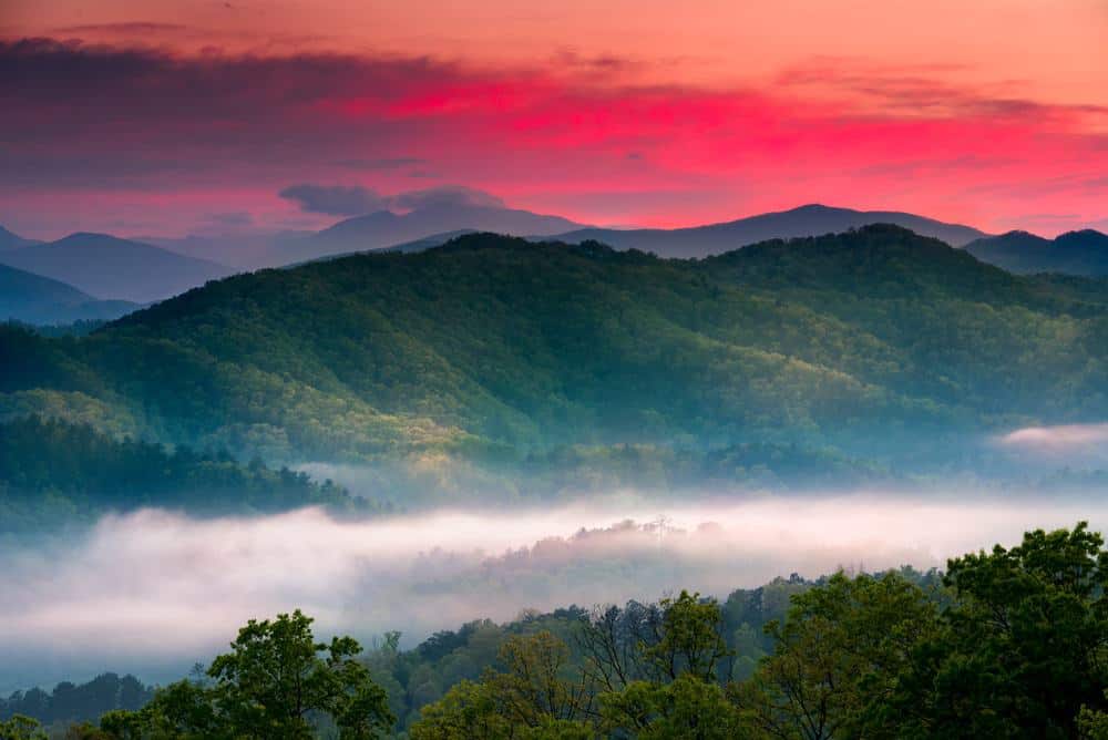 spring sunrise in the smoky mountains