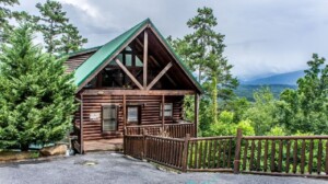 Bear Necessities incredible mountain views, 4 bedrooms, 3 baths Property overview