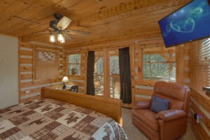 Cozy Bear Cabin in the Smokies