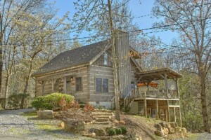 Cozy Bear Cabin in the Smokies